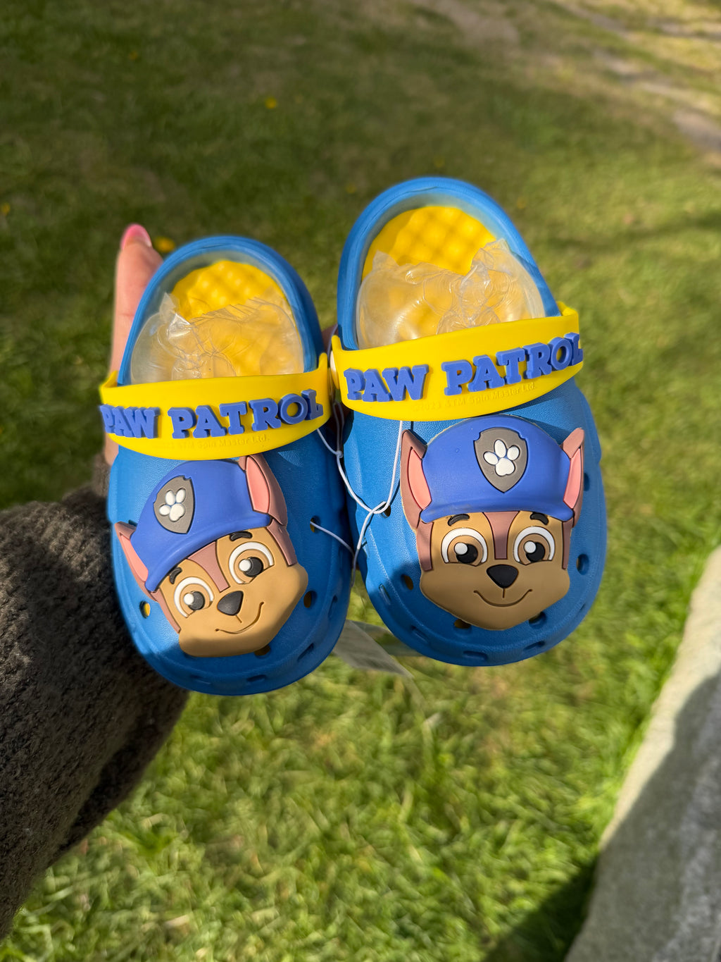 PAW patrol Chase